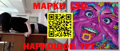 спиды Гатчина