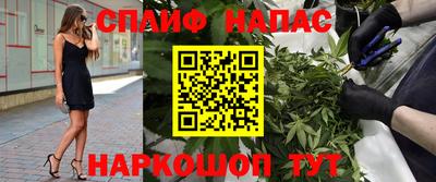 apvp Гагарин