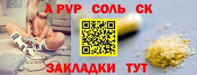 спиды Гатчина