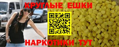 спиды Гатчина