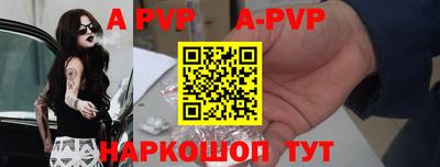 спиды Гатчина